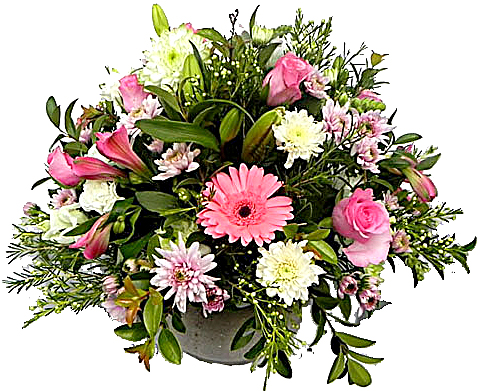 Pot of flowers